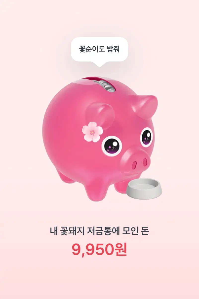 꽃돼지 만원 받아가세요